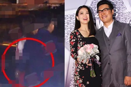李湘晒女儿插花照 王岳伦否认出轨