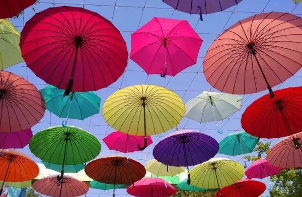my umbrella是什么意思