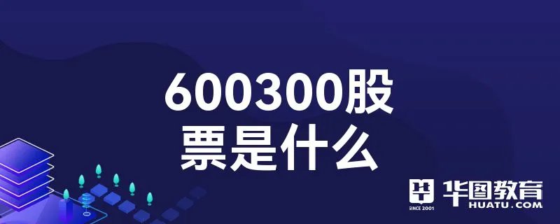 600300股票是什么