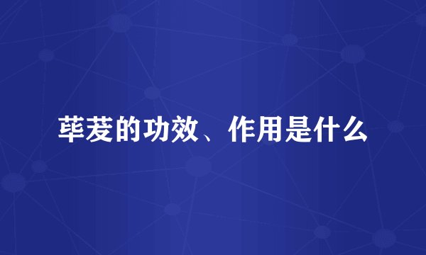 荜茇的功效、作用是什么