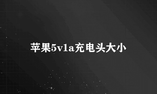 苹果5v1a充电头大小