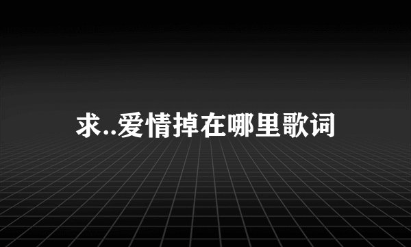 求..爱情掉在哪里歌词