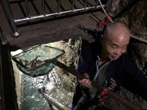 农户挖出神秘鱼泉一夜暴富   百年不遇的鱼泉引人入胜！