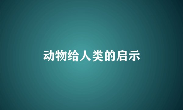 动物给人类的启示