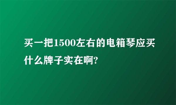 买一把1500左右的电箱琴应买什么牌子实在啊?