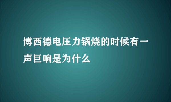 博西德电压力锅烧的时候有一声巨响是为什么