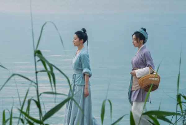 《梦华录》41岁柳岩把男人扔水里,你觉得柳岩在剧中的演技怎么样?