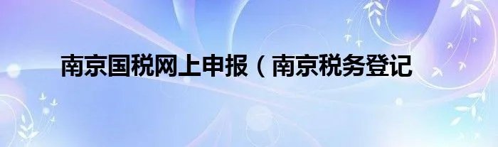 南京国税网上申报(南京税务登记