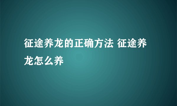 征途养龙的正确方法 征途养龙怎么养