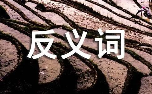 敏捷的反义词