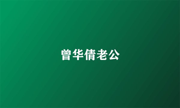 曾华倩老公