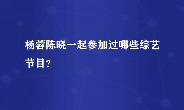杨蓉陈晓一起参加过哪些综艺节目？