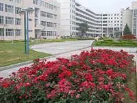 信阳农业高等专科学校是在市里吗?学校怎么样啊?