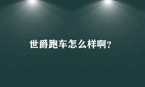 世爵跑车怎么样啊?