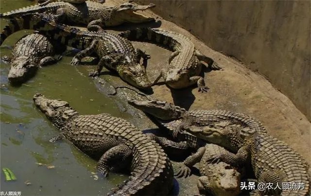 你认为中央电视台的《致富经》能让人致富吗?