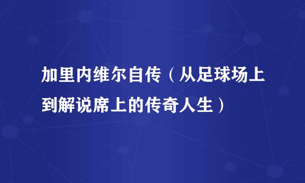 加里内维尔自传（从足球场上到解说席上的传奇人生）