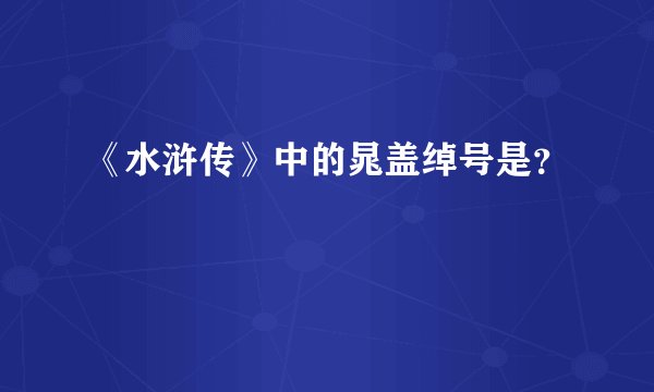 《水浒传》中的晁盖绰号是？