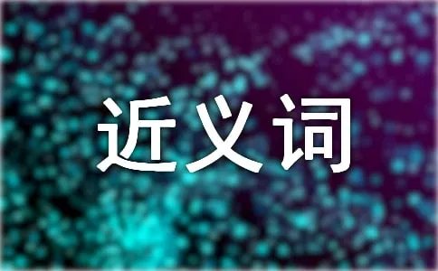 功能的近义词是什么