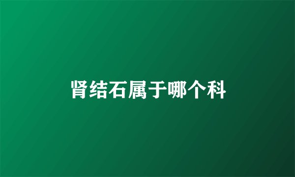 肾结石属于哪个科