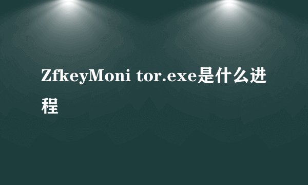 ZfkeyMoni tor.exe是什么进程