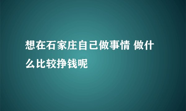 想在石家庄自己做事情 做什么比较挣钱呢