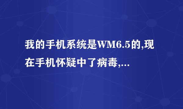 我的手机系统是WM6.5的,现在手机怀疑中了病毒,请问用何种手机杀毒软件好一点?谢谢!