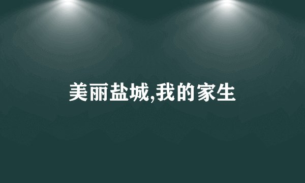 美丽盐城,我的家生