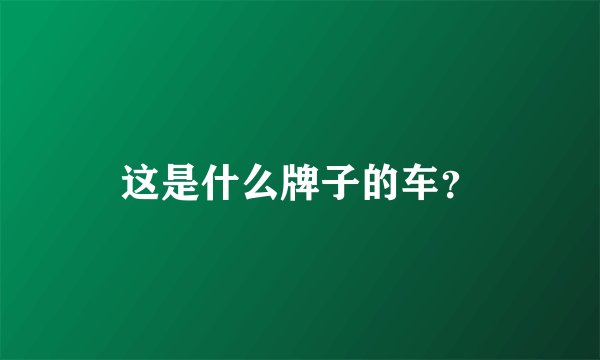 这是什么牌子的车？