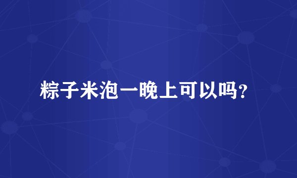 粽子米泡一晚上可以吗？