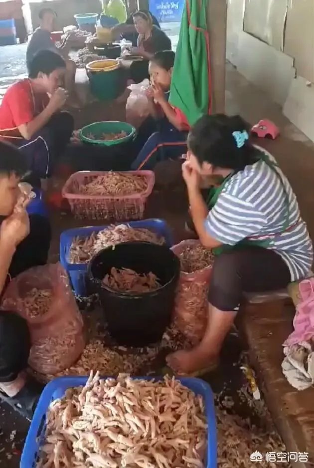 看了很多报道说“无骨鸡爪”是工人用嘴啃出来的,真的吗?