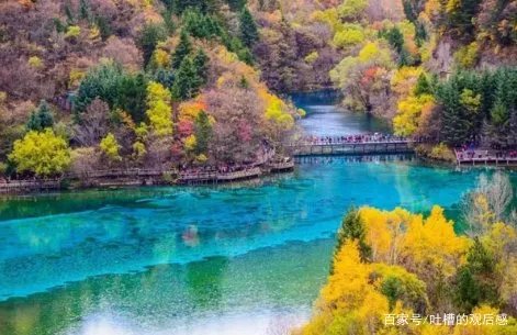 绵阳通报4天参团游未见九寨沟大门,涉事酒店最终得到了什么处罚?