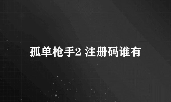 孤单枪手2 注册码谁有