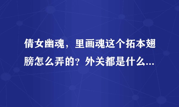 倩女幽魂，里画魂这个拓本翅膀怎么弄的？外关都是什么，多少等级，需要几件一样的。才能有这个，翅膀？
