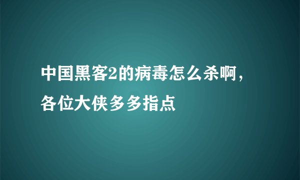 中国黑客2的病毒怎么杀啊，各位大侠多多指点