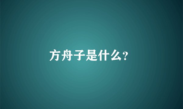 方舟子是什么?