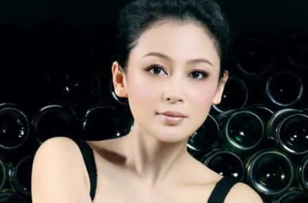 陈凯歌不能生育陈红怎么怀孕?
