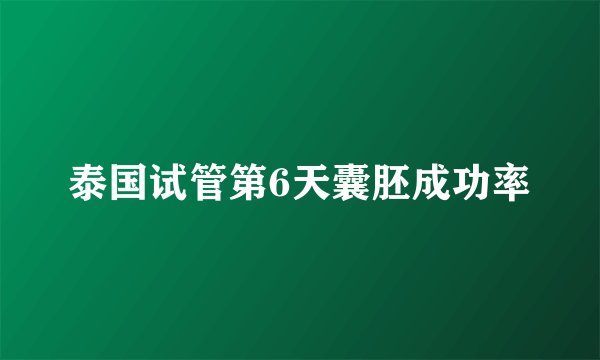 泰国试管第6天囊胚成功率