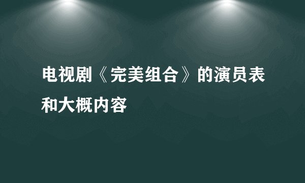电视剧《完美组合》的演员表和大概内容