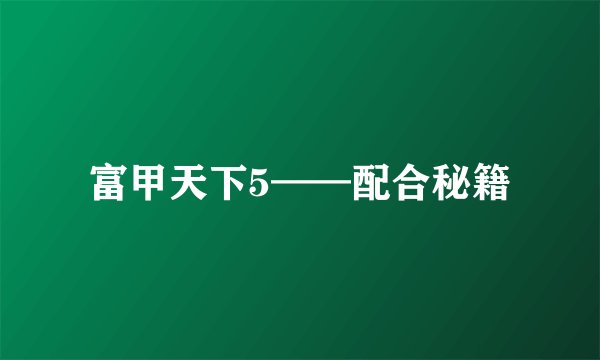 富甲天下5——配合秘籍