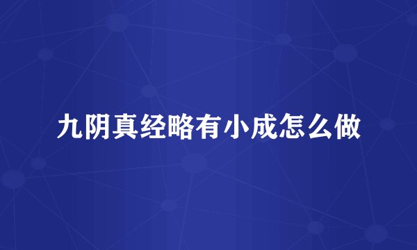 九阴真经略有小成怎么做