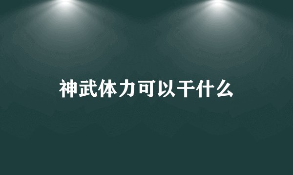 神武体力可以干什么