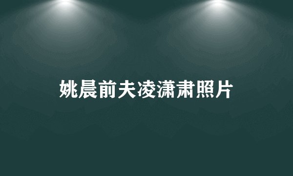 姚晨前夫凌潇肃照片