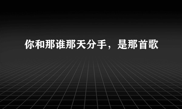 你和那谁那天分手,是那首歌