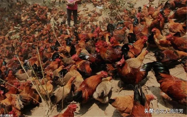你认为中央电视台的《致富经》能让人致富吗?
