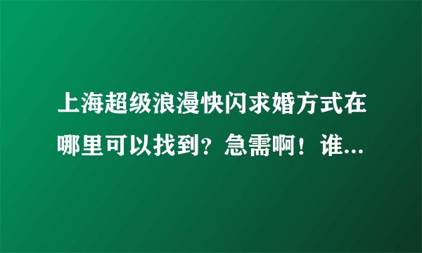 上海超级浪漫快闪求婚方式在哪里可以找到？急需啊！谁知道啊？赶快给说说吧？