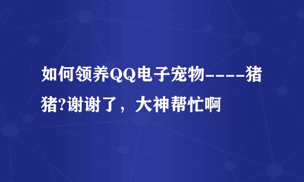 如何领养QQ电子宠物----猪猪?谢谢了，大神帮忙啊