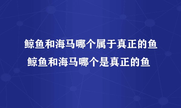 鲸鱼和海马哪个属于真正的鱼 鲸鱼和海马哪个是真正的鱼