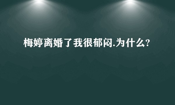 梅婷离婚了我很郁闷.为什么?