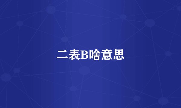 二表B啥意思