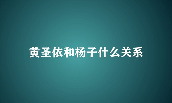 黄圣依和杨子什么关系